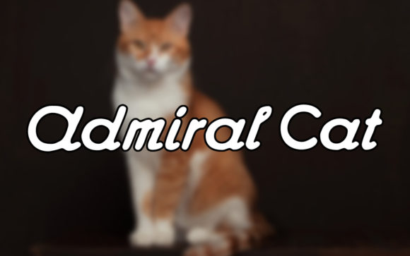 Admiral Cat: A Handwritten Font with Vintage Charm