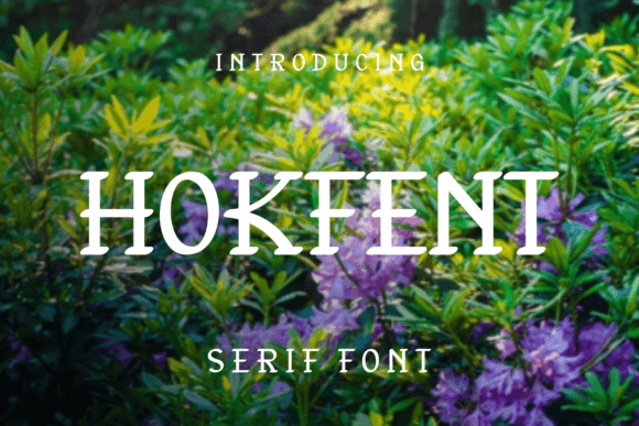 Hokfent: A Playful Serif Font That Brings Character to Your Work