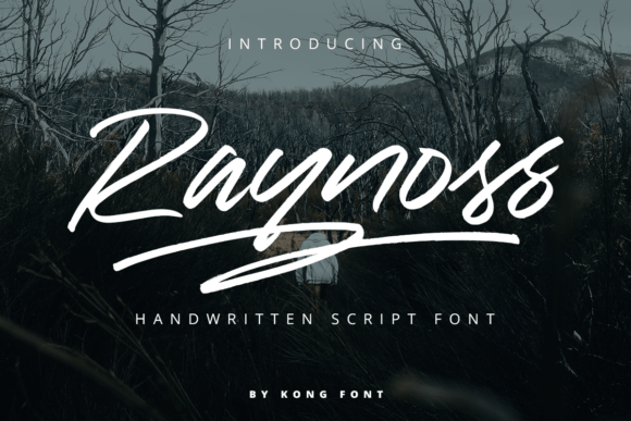Raynoss: The Handwritten Font That Makes Your Designs Pop